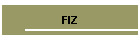 FIZ